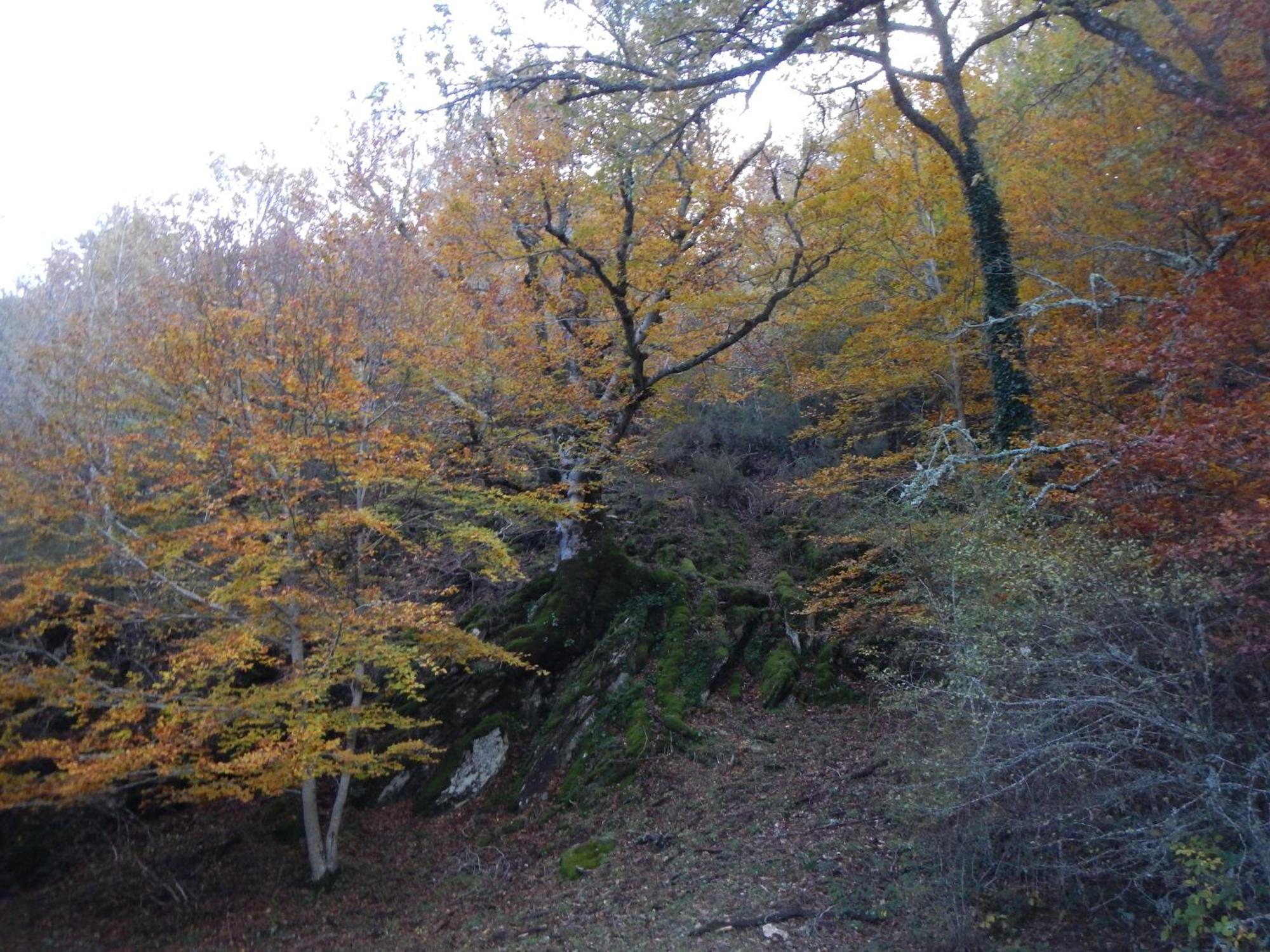 Alojamiento Rural Fuente Del Arca Pradena del Rincon ภายนอก รูปภาพ
